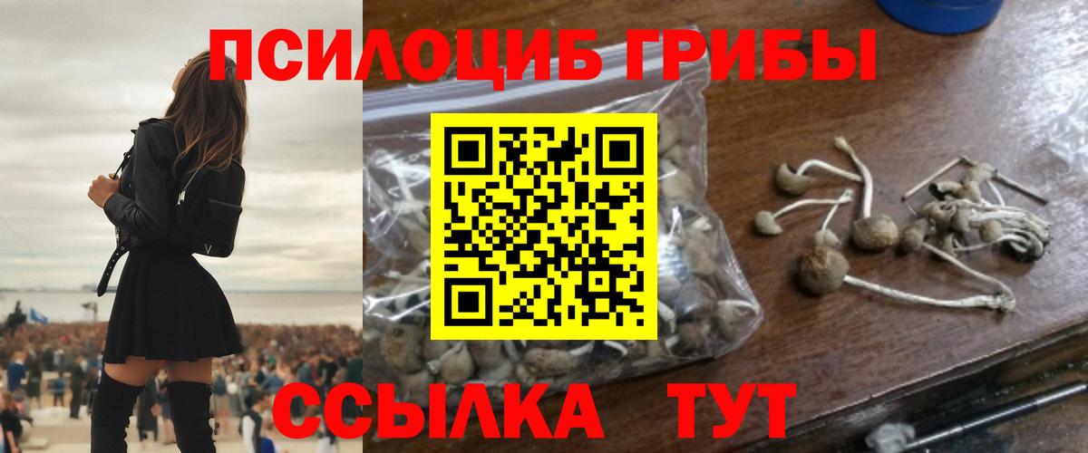 Псилоцибиновые грибы прущие грибы Мытищи